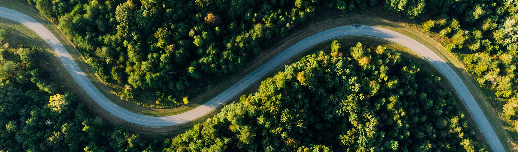 aerial-view-empty-road-forest-1800x530