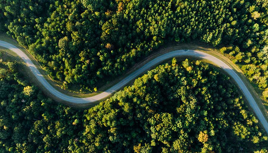 Aerial-view-empty-road-forest-900x514