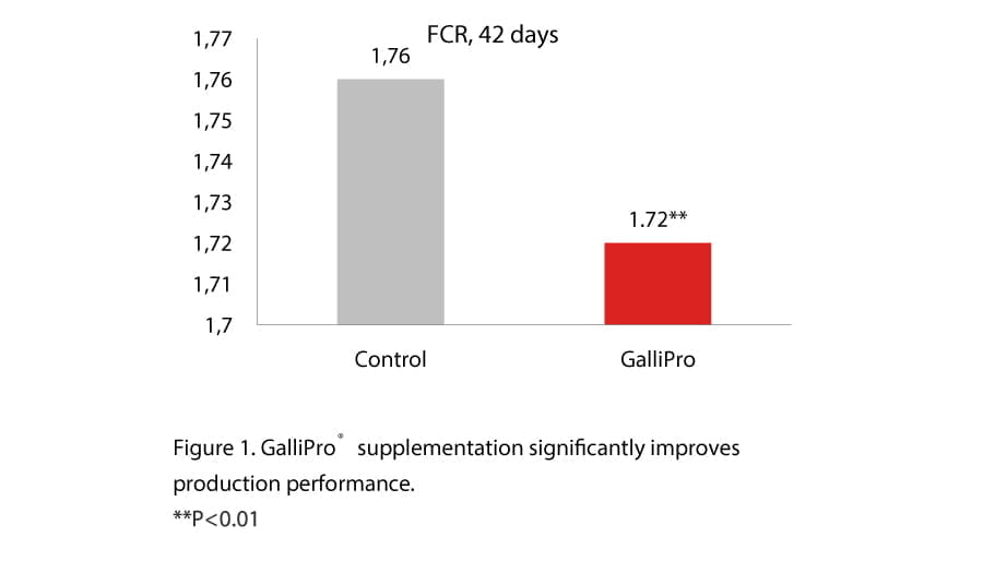 Can probiotics consistently improve broiler performance, Figure 1.1 GALLIPRO supplementation significantly improves production performance