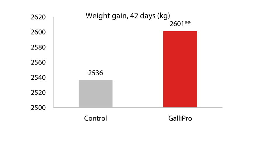 Can probiotics consistently improve broiler performance, Figure 1 Weight gain 42 days