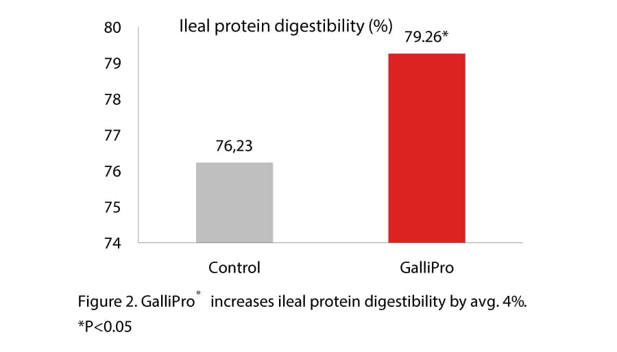 Can probiotics consistently improve broiler performance, Figure 2 GALLIPRO increases ileal digestibility by avg. 4%