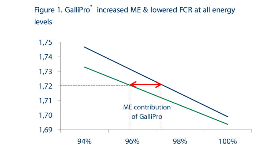 New Flexible Feed Formulation concept aims to improve broiler performance on lower-cost diets, Figure 1 GALLIPRO increased ME & lowered FCR at all energy levels