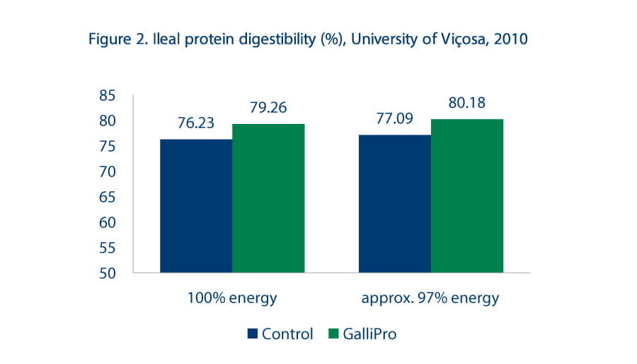 New Flexible Feed Formulation concept aims to improve broiler performance on lower-cost diets, Figure 2 Ileal protein digestibility