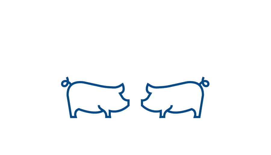 Bioplus Nursery pigs