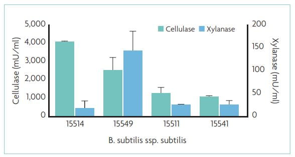graph of cellulose and xylanase