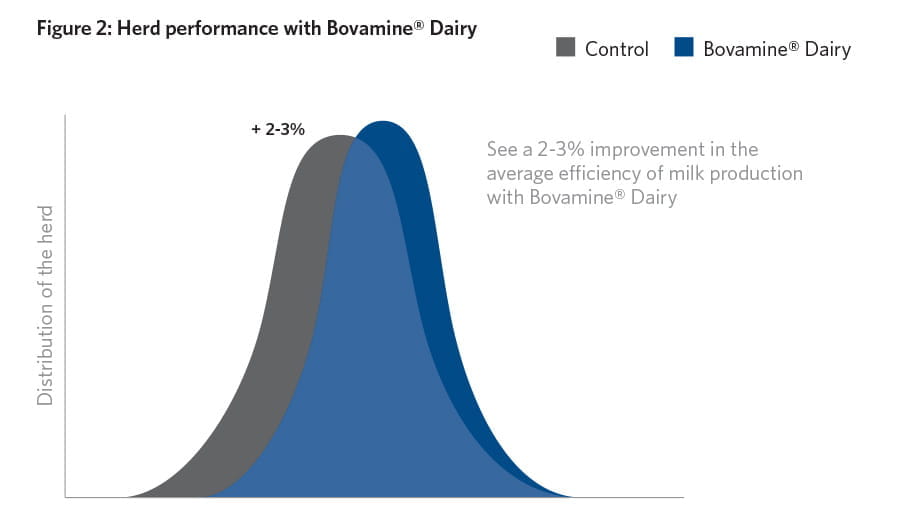 BOVAMINE® Dairy Graph