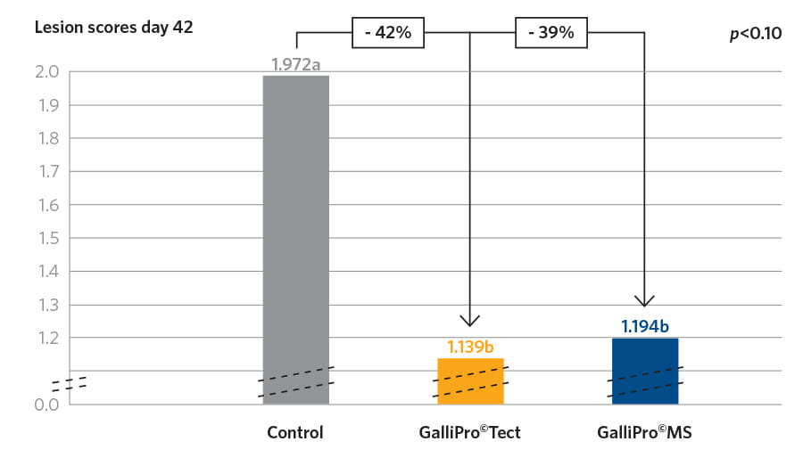 GALLIPRO® Tect Graph