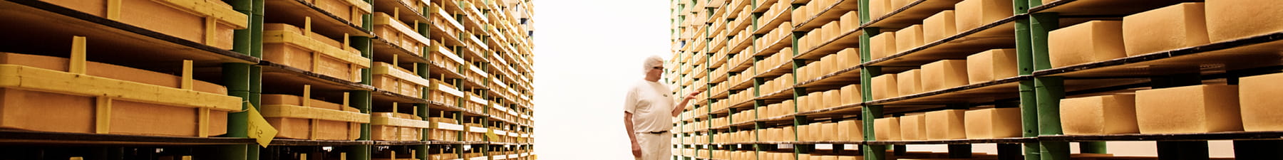 Rows of cheese in a storage room