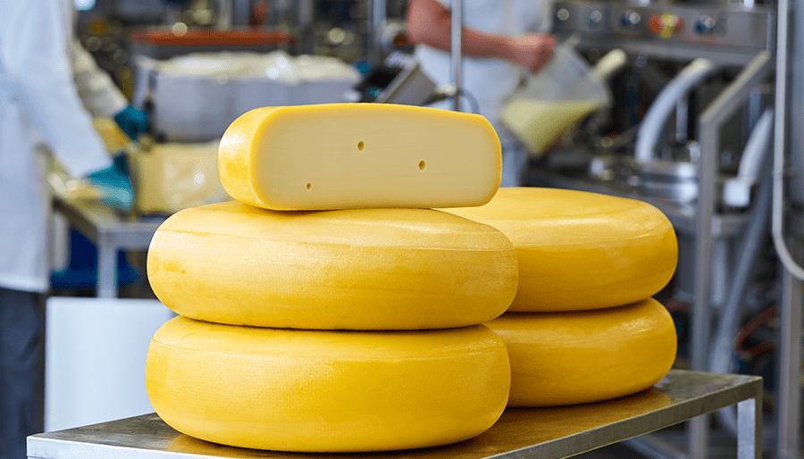 yellow round cheeses