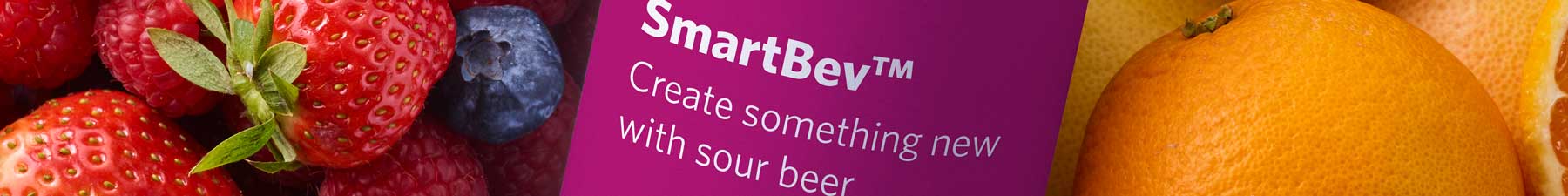 Sour-beer SmartBev berries citrus