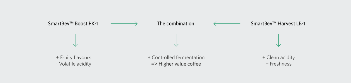 SmartBev_Coffee_graph