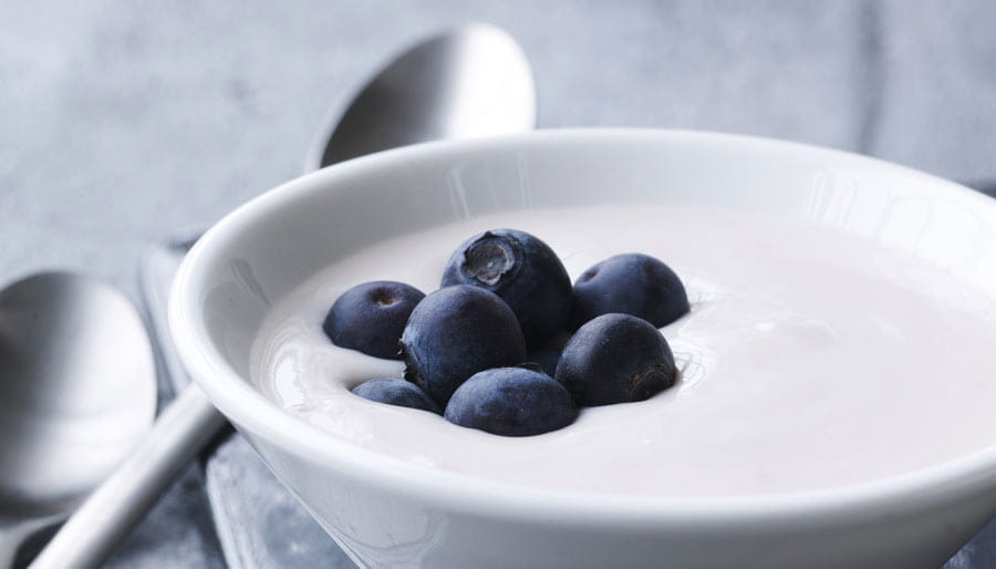 Creamy yogurt culture with blueberries