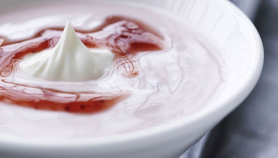 Portion of creamy yogurt