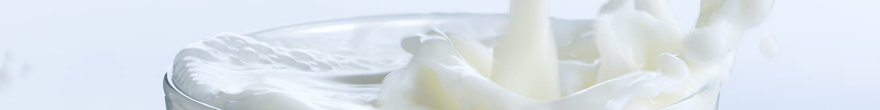 White milk in glass