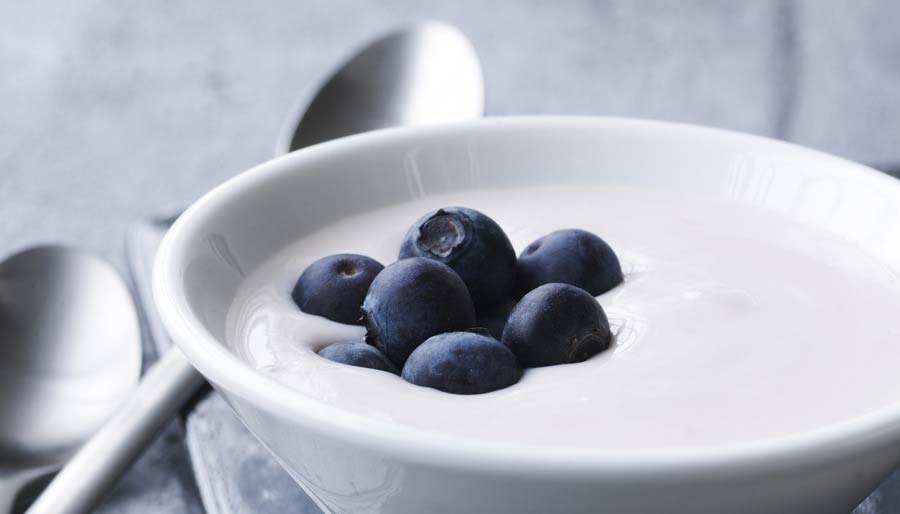 Yogurt with blueberries