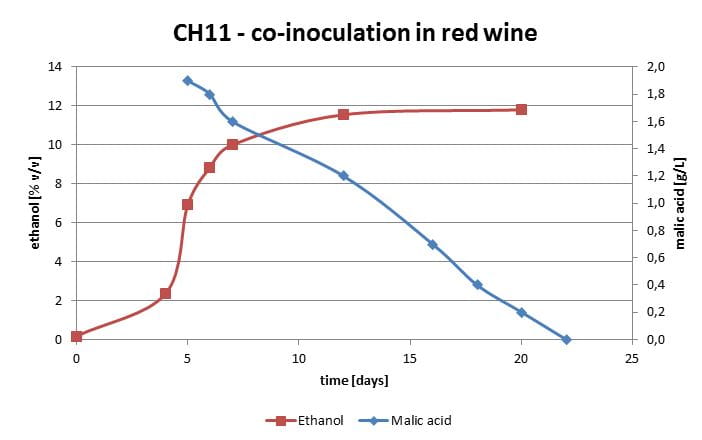 Viniflora CH11 Graph 2