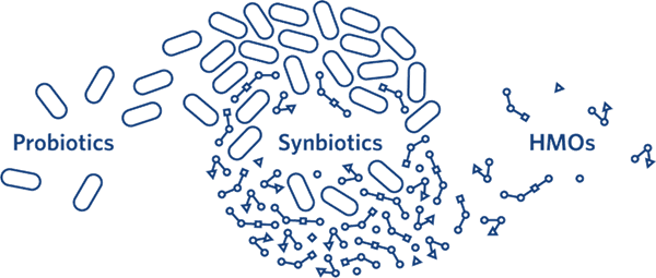 Probiotics synbiotics and HMOs
