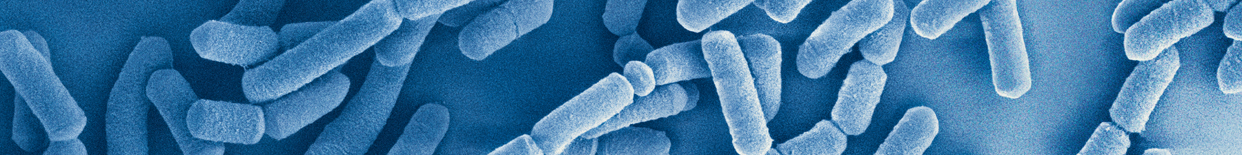 Microbial_image_LGG_Close_up1800x225