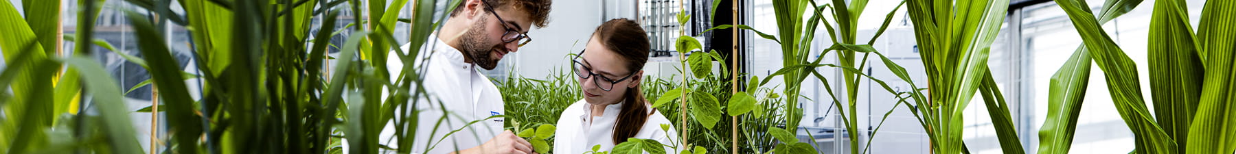 Plant health committed partnerships