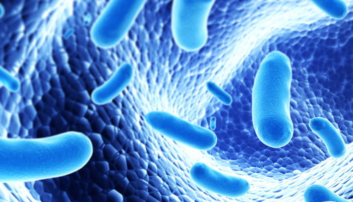 Компания Chr. Hansen расширяет базу штаммов для разработки пробиотиков нового поколения 