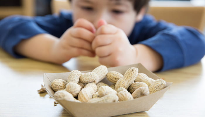 Nuevo acuerdo para desarrollar tratamiento para la alergia a los cacahuetes