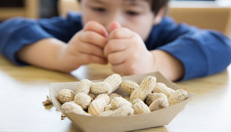 Nuevo acuerdo para desarrollar tratamiento para la alergia a los cacahuetes