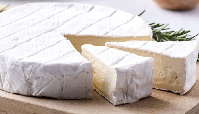 Nova cultura inicializadora proporciona queijos moles cremosos e suaves